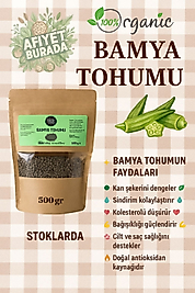 BAMYA TOHUMU(500gr)