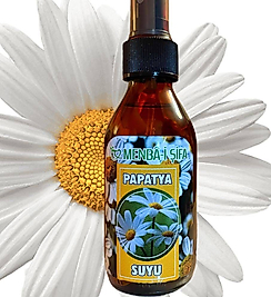 PAPATYA SUYU